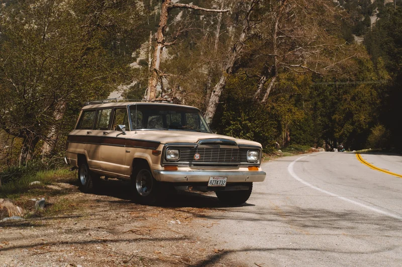 1982 Jeep Wagoneer Custom 14