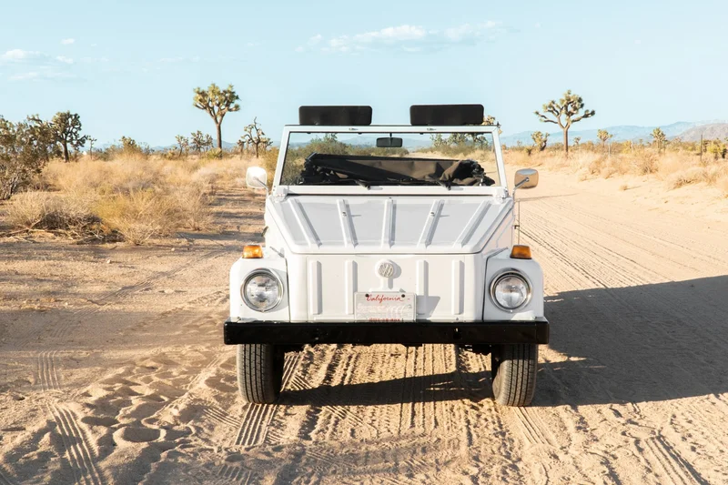 1973 Volkswagen Thing