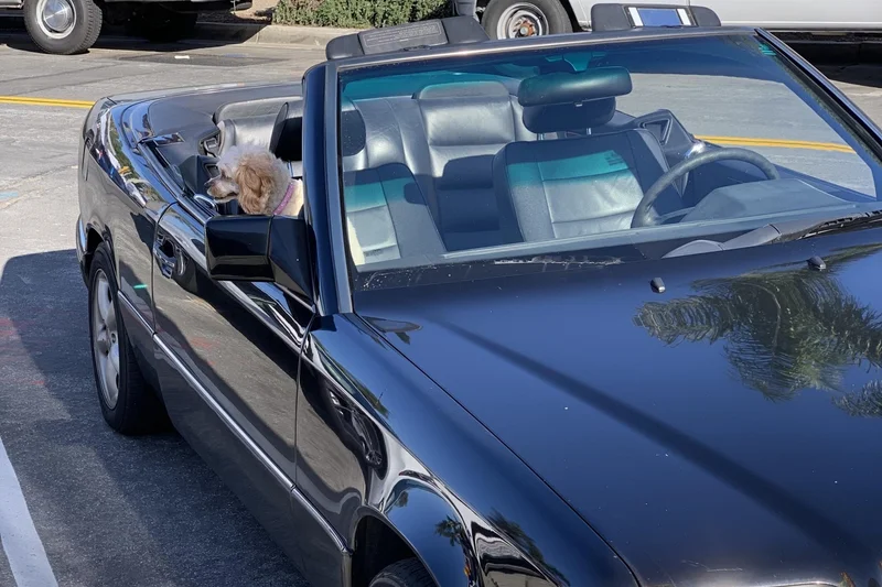 1994 Mercedes-Benz E320