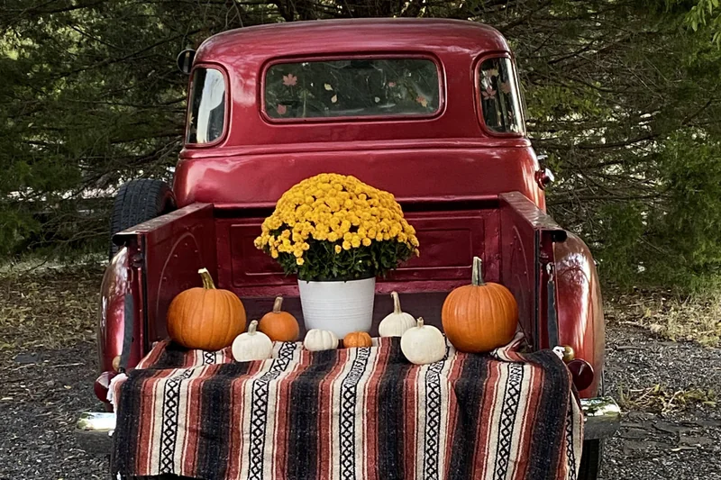 1954 Chevrolet Series 3100