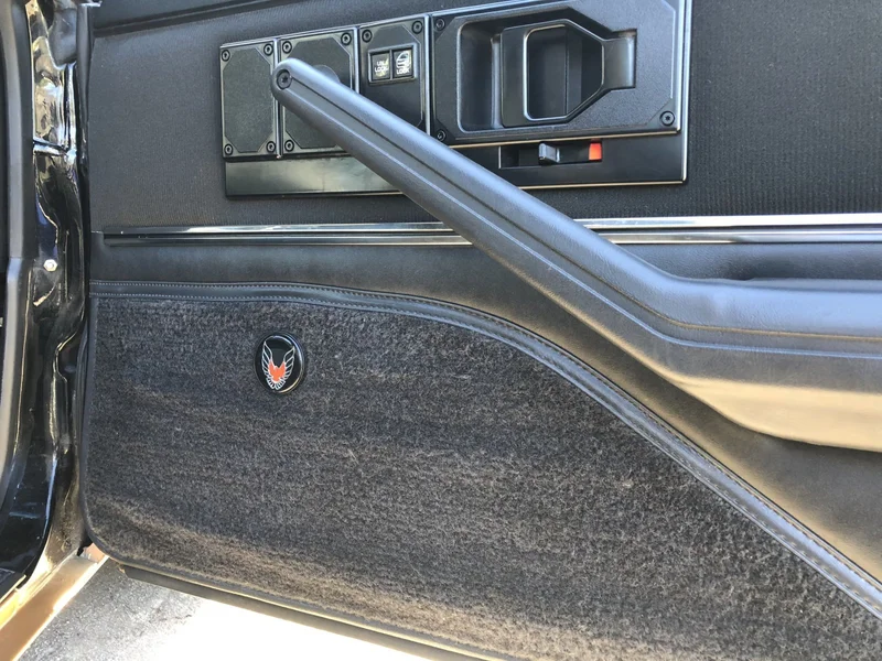 1982 Pontiac Firebird Trans 16