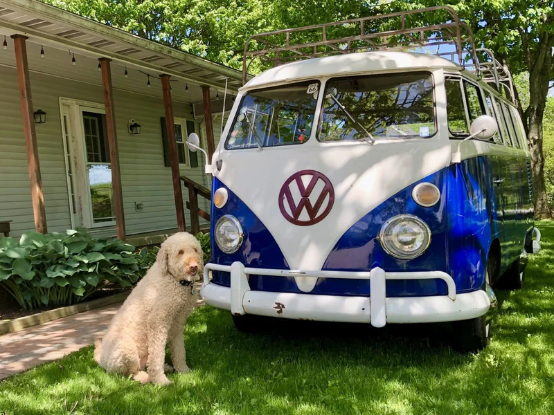 1966 Volkswagen Transporter (Van) Base 10