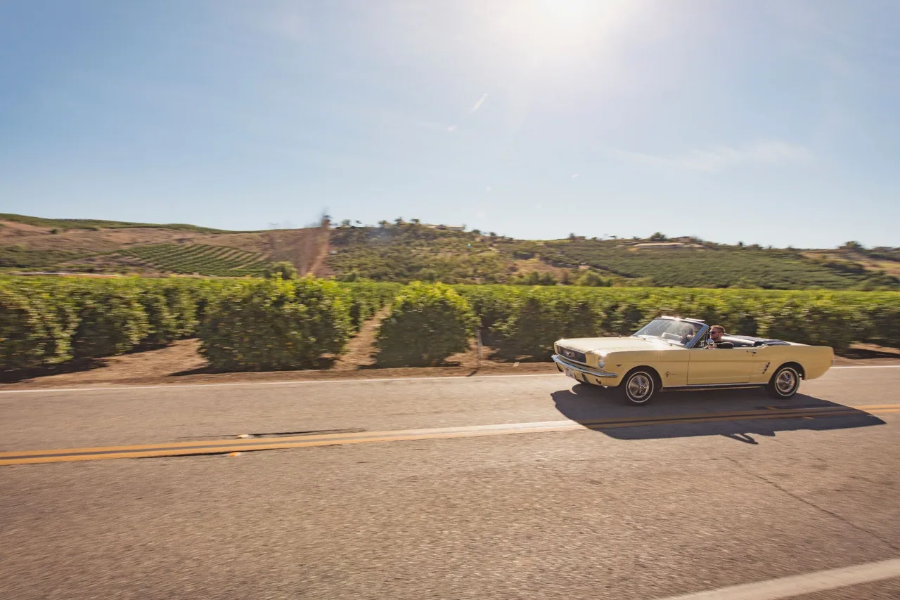 Share the car love — original DriveShare photograph